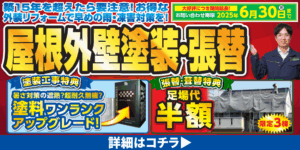 2025.6 チラシ情報