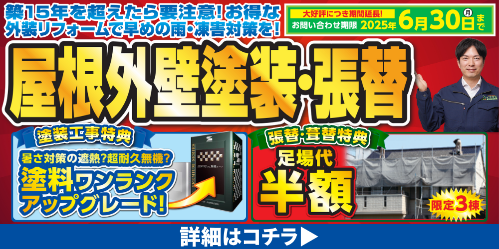 2025.6 チラシ情報